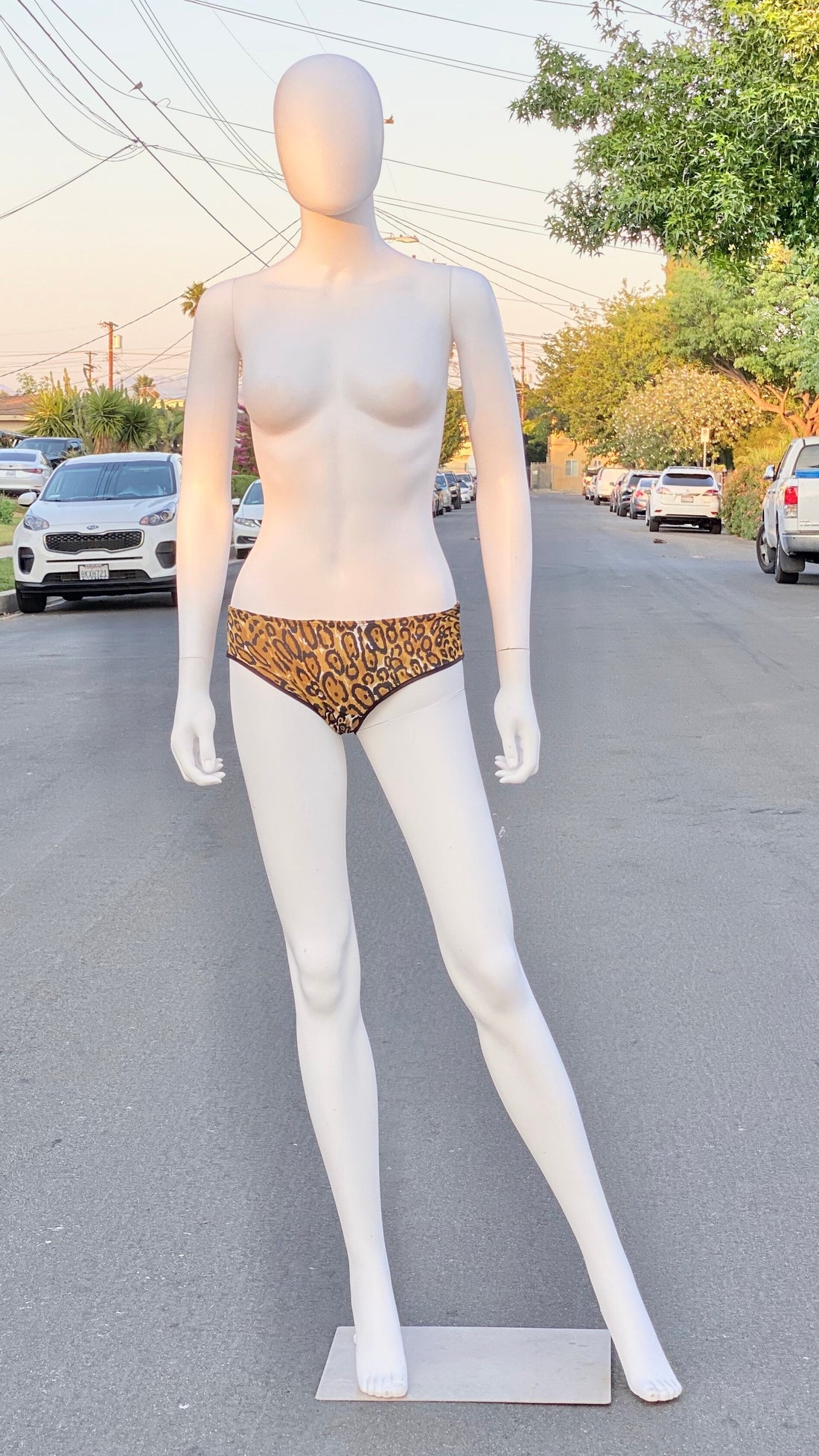 70s Leopard Print Gown